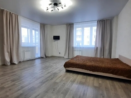 Снять однокомнатную квартиру Светлогорский пер, 55  м&sup2;, 2900 рублей