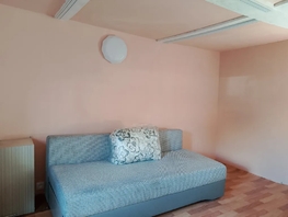 Снять однокомнатную квартиру Сосновского ул, 42  м&sup2;, 3100 рублей