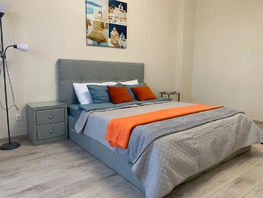 Снять однокомнатную квартиру Алексеева ул, 53  м&sup2;, 3790 рублей