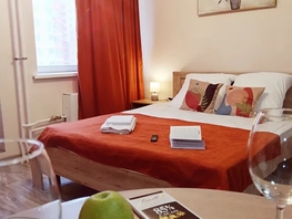 Снять однокомнатную квартиру Соколовская ул, 27  м&sup2;, 2471 рублей