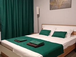 Снять однокомнатную квартиру Соколовская ул, 27  м&sup2;, 2725 рублей