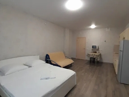 Снять однокомнатную квартиру Светлогорский пер, 32  м&sup2;, 2730 рублей