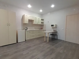 Снять однокомнатную квартиру Светлогорский пер, 32  м&sup2;, 2730 рублей