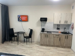 Снять однокомнатную квартиру Петра Подзолкова ул, 30  м&sup2;, 2812 рублей