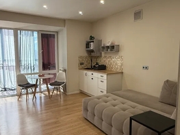 Снять однокомнатную квартиру Линейная ул, 30  м&sup2;, 2999 рублей