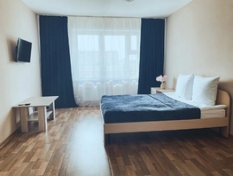 Снять однокомнатную квартиру Светлогорский пер, 38  м&sup2;, 2550 рублей