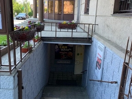 Продается Торговое Партизанская ул, 264 м², 16000000 рублей