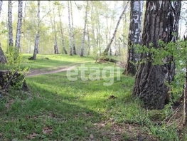 Продается Участок ИЖС Песчаная ул, 1700 сот., 1499000 рублей