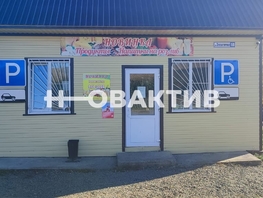 Продается Торговое Элеваторная ул, 41.6 м², 2700000 рублей