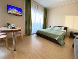 Снять однокомнатную квартиру Комсомольский пр-кт, 45  м&sup2;, 2700 рублей