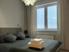 Снять двухкомнатную квартиру Промышленная ул, 45  м&sup2;, 3910 рублей