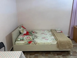 Снять однокомнатную квартиру Бийский пер, 28  м&sup2;, 3000 рублей