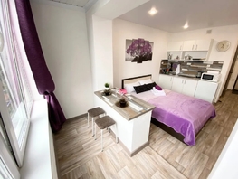 Снять однокомнатную квартиру Ленина пр-кт, 25  м&sup2;, 2160 рублей