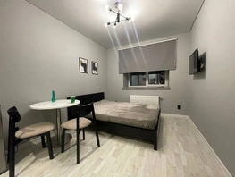 Снять однокомнатную квартиру Песчаная ул, 25  м&sup2;, 2295 рублей