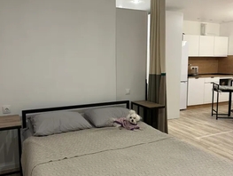 Снять однокомнатную квартиру Набережная ул, 33  м&sup2;, 3800 рублей