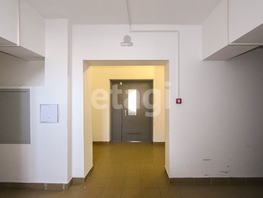 Продается 1-комнатная квартира Изумрудная ул, 24.6  м&sup2;, 4020000 рублей