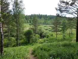 Участок, 1300 сот., Земля сельхозназначения