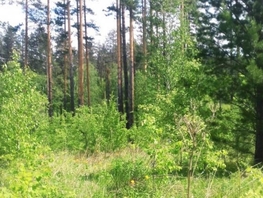 Участок, 10 сот., Земля сельхозназначения