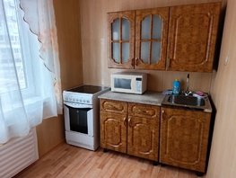 Снять однокомнатную квартиру Баркова (Центральный ж/р) ул, 28  м&sup2;, 1980 рублей