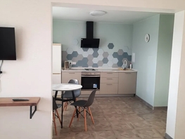 Снять однокомнатную квартиру Бородина ул, 47  м&sup2;, 2500 рублей