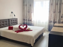 Снять двухкомнатную квартиру Зимняя ул, 46  м&sup2;, 3899 рублей