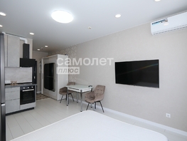 Продается 1-комнатная квартира ЖК Сибирские просторы, дом 1 корпус 3, 24.6  м&sup2;, 5400000 рублей