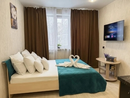 Снять однокомнатную квартиру Московский пр-кт, 20  м&sup2;, 2200 рублей