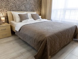 Снять двухкомнатную квартиру Химиков пр-кт, 40  м&sup2;, 2970 рублей