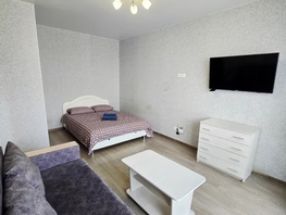 Снять однокомнатную квартиру Московский пр-кт, 33  м&sup2;, 2550 рублей