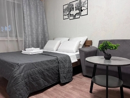 Снять однокомнатную квартиру Кирова пр-кт, 33  м&sup2;, 2625 рублей