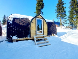 Снять  дом Рябиновая ул, 20  м&sup2;, 5000 рублей