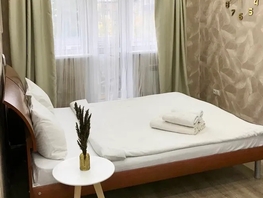 Снять однокомнатную квартиру Ленина пр-кт, 30  м&sup2;, 2250 рублей