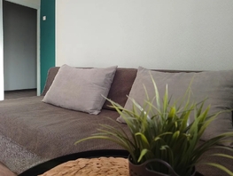 Снять однокомнатную квартиру Бардина  пр-кт, 32  м&sup2;, 2450 рублей
