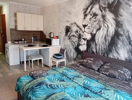 Снять однокомнатную квартиру Ленина пр-кт, 24  м&sup2;, 1790 рублей