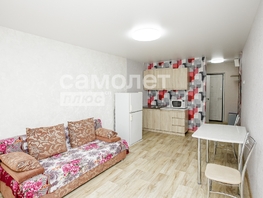 Продается 1-комнатная квартира Ногинская ул, 22.5  м&sup2;, 2500000 рублей