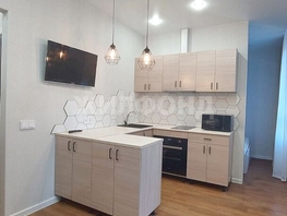 Снять однокомнатную квартиру Гаранина ул, 28 м², 30000 рублей