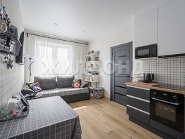 Продается 1-комнатная квартира ЖК Расцветай на Гоголя, дом 3, 28.1 м², 7300000 рублей