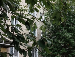 Продается 1-комнатная квартира Палласа ул, 28.7 м², 3500000 рублей