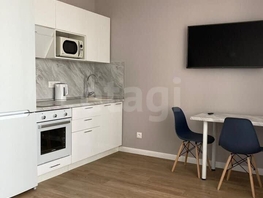 Снять однокомнатную квартиру Писарева ул, 30 м², 35000 рублей