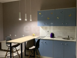 Снять однокомнатную квартиру Райсовета пл, 28 м², 28000 рублей