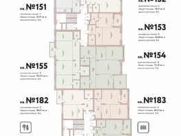 Продается 2-комнатная квартира ЖК Flora Fauna (Флора и Фауна), 12в , 58.67 м², 13900000 рублей