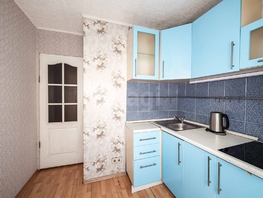 Продается 1-комнатная квартира Кошурникова ул, 28.9  м&sup2;, 5200000 рублей