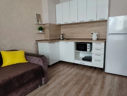 Снять однокомнатную квартиру Петухова ул, 23  м&sup2;, 2800 рублей