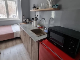 Снять однокомнатную квартиру Терешковой ул, 13  м&sup2;, 3100 рублей