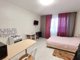 Снять однокомнатную квартиру Писарева ул, 30  м&sup2;, 2700 рублей