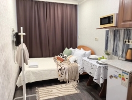Снять однокомнатную квартиру Карла Маркса пр-кт, 15  м&sup2;, 2508 рублей