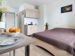 Снять однокомнатную квартиру Титова ул, 24  м&sup2;, 3300 рублей