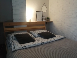Снять двухкомнатную квартиру Красный пр-кт, 40  м&sup2;, 3300 рублей