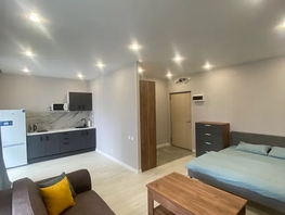 Снять однокомнатную квартиру Ясный Берег ул, 40  м&sup2;, 2550 рублей