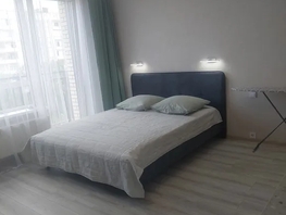Снять однокомнатную квартиру Никитина ул, 30  м&sup2;, 3000 рублей